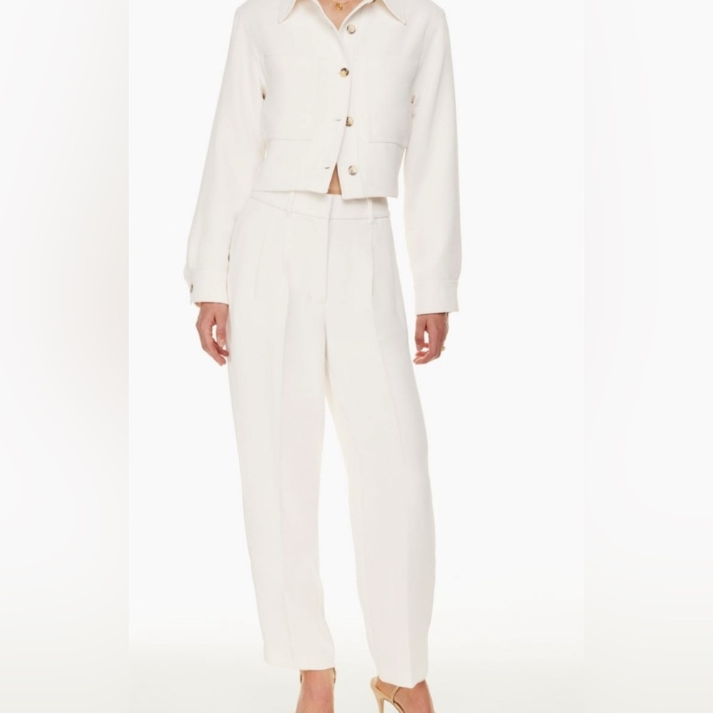 Aritzia Carrot Pant (Trousers)
